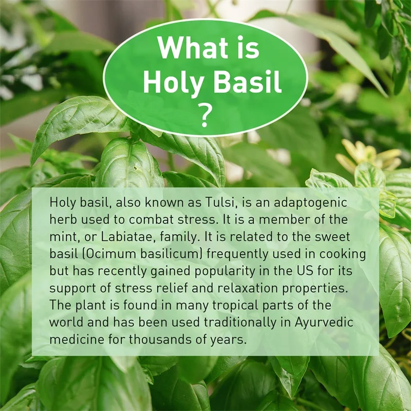 Heilige basilicumcapsules - Ve - Tulsi Holy Basil recensie en prijs